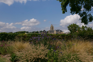 Kinésithérapeute Sainte-Geneviève-des-Bois